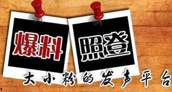 什么是新爆料新闻,揭开事件背后真相 第1张 什么是新爆料新闻,揭开事件背后真相 第1张